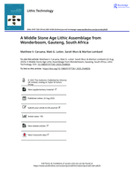 A Middle stone age lithic assemblage from Wonderboom, Gauteng, South Africa