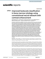 Improved leukocyte classification in bone marrow cytology using convolutional neural network with contrast enhancement
