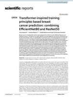 Transformer-inspired training principles based breast cancer prediction: combining EfficientNetB0 and ResNet50