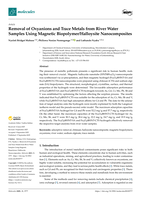 Removal of oxyanions and trace metals from riverwater samples using magnetic biopolymer/halloysite nanocomposites