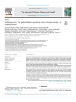 Colliding crises : The global diabetes pandemic meets climate change—A scoping review