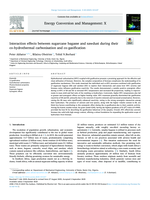 Interaction effects between sugarcane bagasse and sawdust during their co-hydrothermal carbonisation and co-gasification