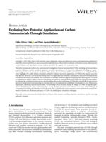Exploring new potential applications of carbon nanomaterials through simulation