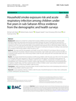 Household smoke exposure risk and acute respiratory infection among children under five years in sub-Saharan Africa: evidence from the demographic and health surveys