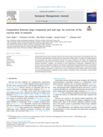 Cooperation between large companies and start-ups: An overview of the current state of research