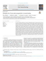 Emerging role of iron oxide nanoparticles in wound healing