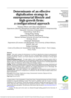 Determinants of an effective digitalization strategy in entrepreneurial lifestyle and high-growth firms: a configurational approach