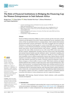 The role of financial institutions in bridging the financing gap for women entrepreneurs in Sub-Saharan Africa