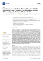 Exploring endovascular photo-activated ablation (EPA) for downstaging locally advanced pancreatic cancer: A proof of- concept study in the normal porcine model