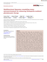 Multifunctional liposomes remodeling tumor microenvironment for enhancing Hemoporfin-mediated photodynamic therapy