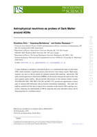 Astrophysical neutrinos as probes of Dark Matter around AGNs