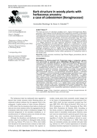 Bark structure in woody plants with herbaceous ancestry : a case of Lobostemon (Boraginaceae)