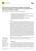 Genome-resolved metagenomics suggests site-specific microbial adaptations in urban soils co-contaminated with hydrocarbons and heavy metals