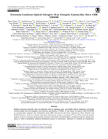 Extremely luminous optical afterglow of an energetic gamma-ray burst GRB 230204B