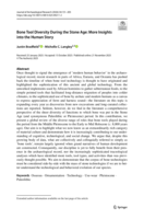 Bone tool diversity during the stone age : More insights into the human story