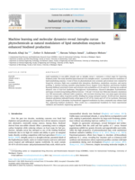 Machine learning and molecular dynamics reveal Jatropha curcas phytochemicals as natural modulators of lipid metabolism enzymes for enhanced biodiesel production