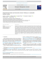 Organizational frames and innovation choices : Pathways to sustainable business models
