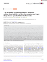 The metabolic awakening of Barley seedlings : a time-resolved view of how germination and light shape tissue-specific metabolic networks