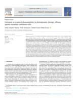 Curcumin as a natural photosensitizer in photodynamic therapy : efficacy against metastatic melanoma cells