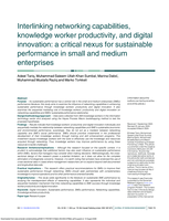 Interlinking networking capabilities, knowledge worker productivity, and digital innovation: a critical nexus for sustainable performance in small and medium enterprises