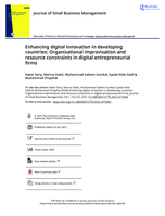 Enhancing digital innovation in developing countries : organizational improvisation and resource constraints in digital entrepreneurial firms