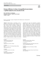 Energy efficiency in times of geopolitical uncertainty : a global analysis across income levels
