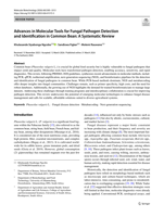 Advances in molecular tools for fungal pathogen detection and identification in common bean : a systematic review