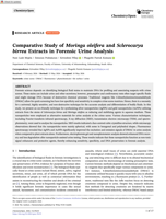 Comparative study of moringa oleifera and sclerocarya birrea extracts in forensic urine analysis