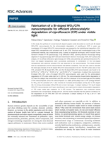 Fabrication of a Bi-doped WO3/CFA nanocomposite for efficient photocatalytic degradation of ciprofloxacin (CIP) under visible light