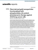 Plant-derived gold nanoparticles functionalized with pheophorbide-a for potent photodynamic therapy against A549 lung cancer cells