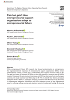 Pain but gain? How entrepreneurial support organisations adapt to entrepreneurial failure