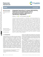 Integrated hierarchical Z-scheme BiOCl/NiTiO3 heterostructured photoanode and its photoelectrocatalytic application in ciprofloxacin degradation