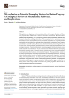 Microplastics as potential emerging vectors for radon progeny: A conceptual review of mechanisms, pathways, and implications