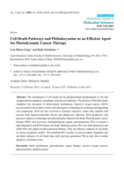 Cell death pathways and phthalocyanine as an efficient agent for photodynamic cancer therapy