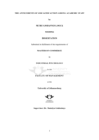 The antecedents of job satisfaction among academic staff