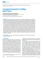 Conceptual framework for auditing agile projects