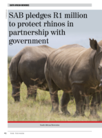 SAB pledges R1 million to protect rhinos in partnership with government