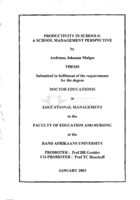 Productivity in schools : a school management perspective