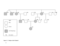 Southeast Asian ovalocytosis in the Cape coloured population